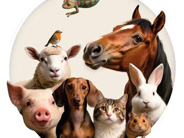 BRZ 20260225 1968 Gaia