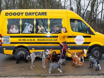 BRZ 20260225 1968 City Job Madame cocker3