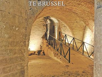 Cover boek Coudenbergpaleis te Brussel
