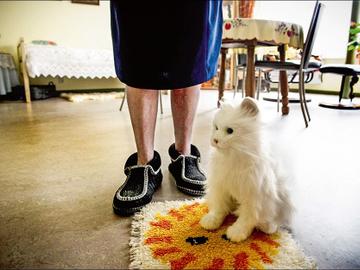 Flits rusthuis BRUZZ ACTUA 1576