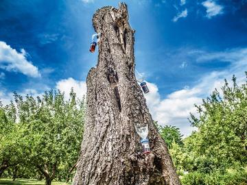 Trajet2 jardin jean massart BRUZZ ACTUA 1576