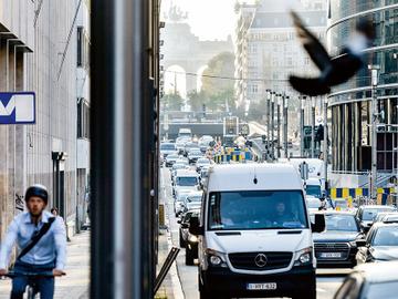 File 3 BRUZZ ACTUA 1581