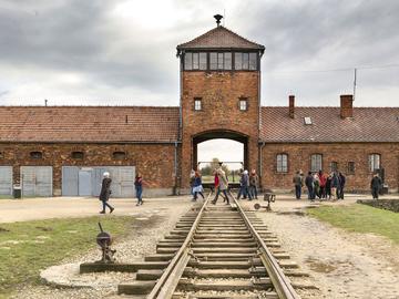 AUSCHWITZ 2 BRUZZ ACTUA 1591