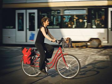 fiets BRUZZ 1538