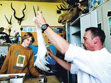 Zazie Museum Natuurwetenschappen Taxidermist