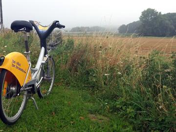 Een achtergelaten Villofiets in Itterbeek zorgt voor een bevreemdend maar poëtisch tafereel. 