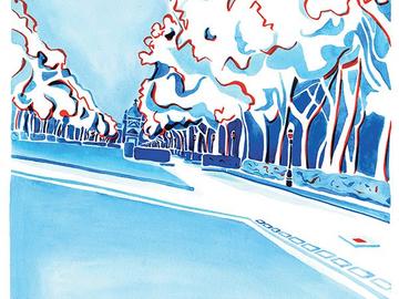 vogelvluchtig illustratie verhaal Gwen Muylaert