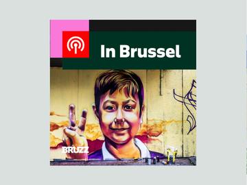 In Brussel: Na de dood van Fabian, de vertrouwensbreuk met de politie en lichtzoekers