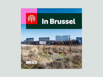 #5 De Josaphatsite: Bouwen of niet bouwen? En Brusselse bedrijven in de USA