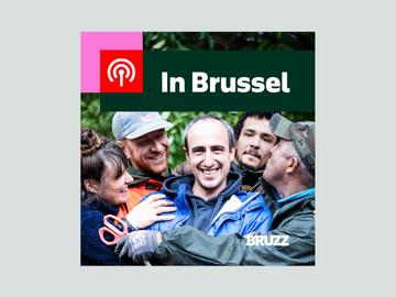 #10 Achter de schermen bij Groot Eiland én een frisse literaire stem