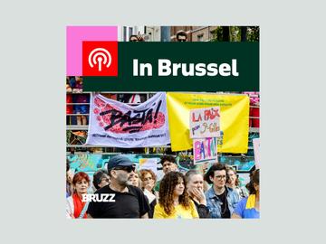 #35 In Brussel: Jeugdwerkers in de strijd tegen het drugsgeweld? En de dierentuin van het justitiepaleis