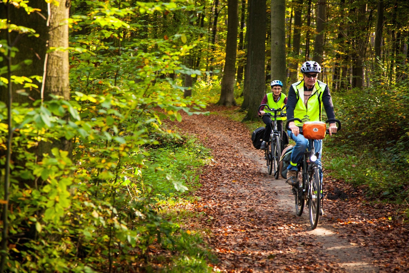 Onze tips voor een verlengde herfstvakantie in lockdown | BRUZZ