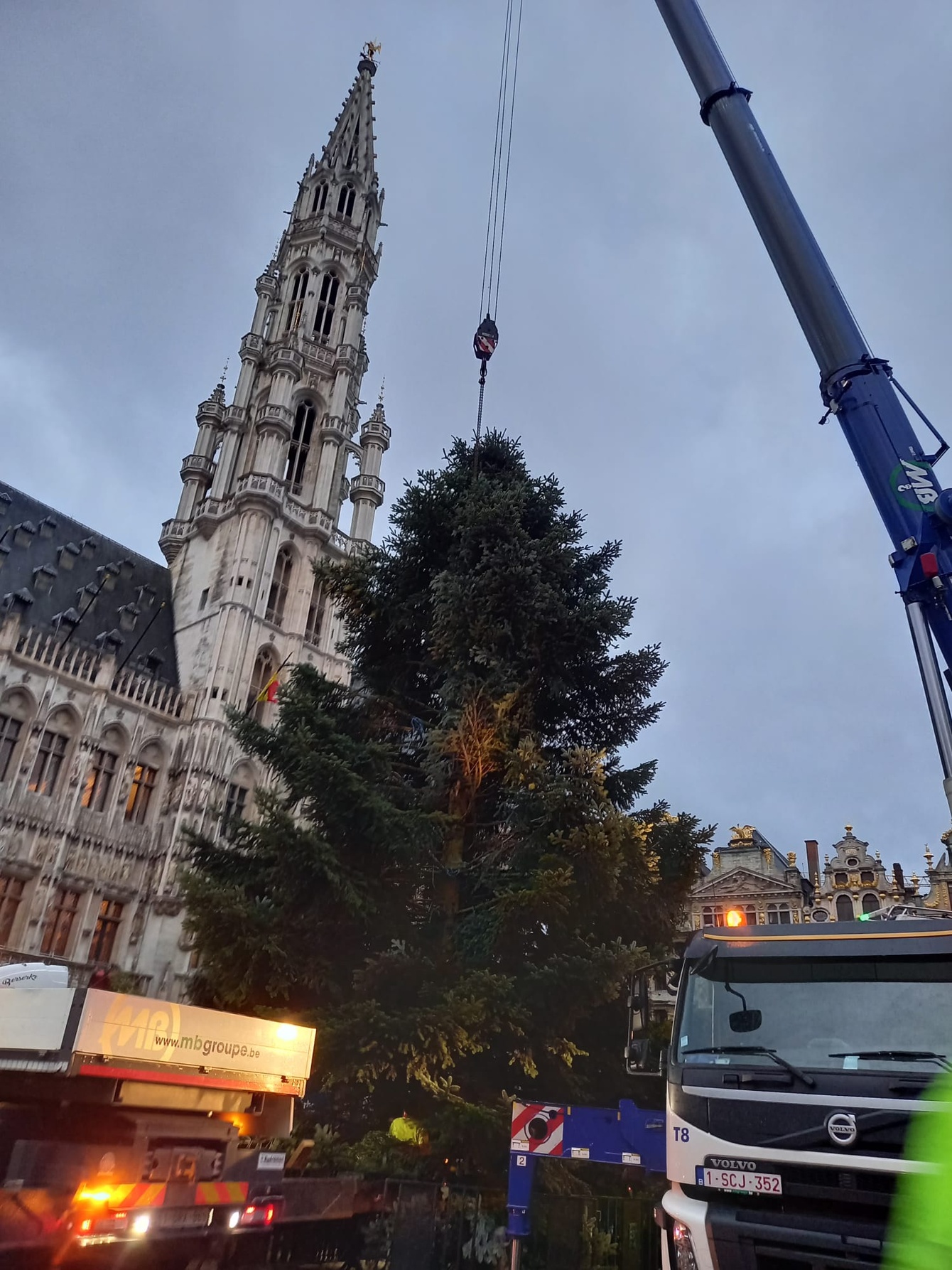 Kerstboom Komt Aan Op Grote Markt | BRUZZ