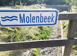 Er staat geen water meer in de Molenbeek.