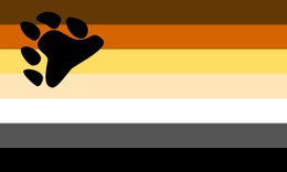 bear pride vlag