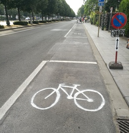 Tervurenlaan guerillafietspad Tour
