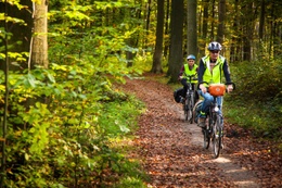 Fietsers in het Zoniënwoud