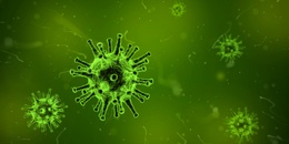 De symptomen van het coronavirus zijn moeilijk te onderscheiden van die van een gewone seizoensgriep.