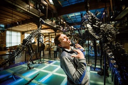 Dino 2 BRUZZ ACTUA 1608