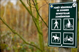 20180905 Opinie Zonienwoud BRUZZ ACTUA 1628