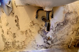 SOCIALE Woningen pombaq BRUZZ ACTUA 1645