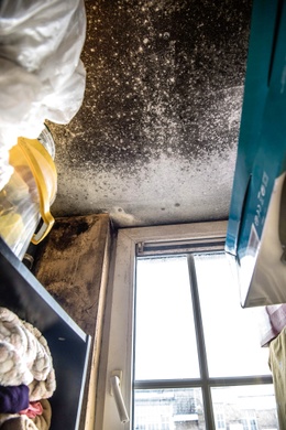 SOCIALE Woningen schimmel plafond BRUZZ ACTUA 1645