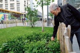 insecten 19 pad Bart Hanssens 2 BRUZZ ACTUA 1661