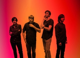 1664 thurston moore group new