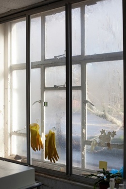 EXPO2020 WOLFGANG TILLMANS- TODAY IS THE FIRST DAY