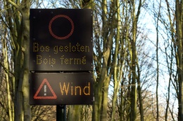 Schade na de doortocht van storm Ciara op zondag 9 februari 2020 in het Ter Kamerenbos