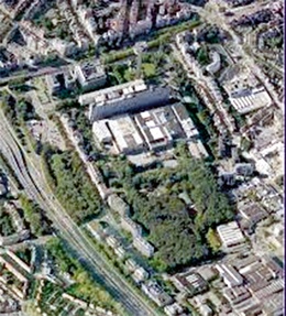 Groen Georginbos BRUZZ ACTUA 1696