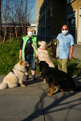 1703 Hond laat Mens uit 16