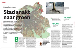 1750 TERUGBLIK Bomen opmaak