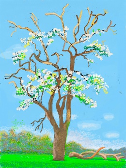 1770 David Hockney I-pad