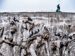 Duiven op het Monument aan de Arbeid in Laken. Hun uitwerpselen, per duif ongeveer twaalf kilo per jaar, opruimen kost jaarlijks 16 tot 23 euro per duif
