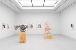 Christopher Wool in galerie Xavier Hufkens