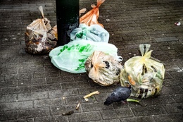 Net Brussel Oranje zak voedingsafval Net Brussel huisvuilophaling sorteren huisvuil groenafval tuinafval 3