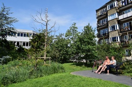 Kopenhagen, klimaatbestendige stad: groene ruimte