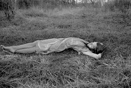 1428 mark steinmetz