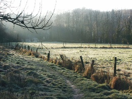 Avijl Plateau Ukkel