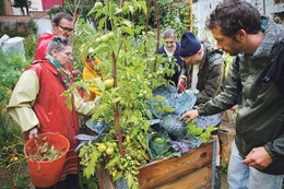 Moestuin SintJoost 2