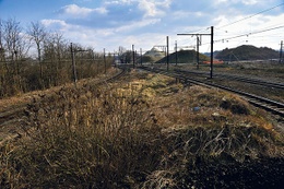 schaarbeek vorming