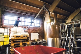 Brasserie De La Senne BRUZZ 1519