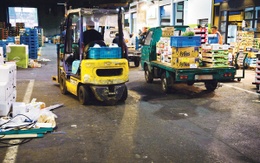 vroegmarkt_bdw1180_c_bart_dewaele_cmyk.jpg