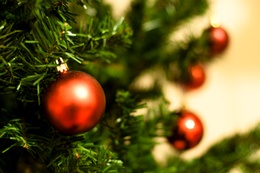 kerstboom_c_serge.jpg