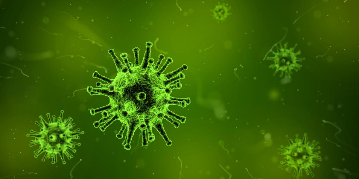 Epidemia di influenza nel paese ma la gravità è bassa