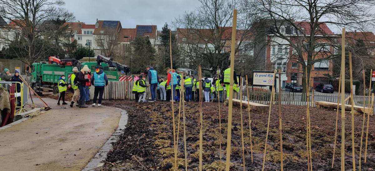 Eerste Bomen Geplant Van Tiny Forest In Neder-Over-Heembeek | BRUZZ