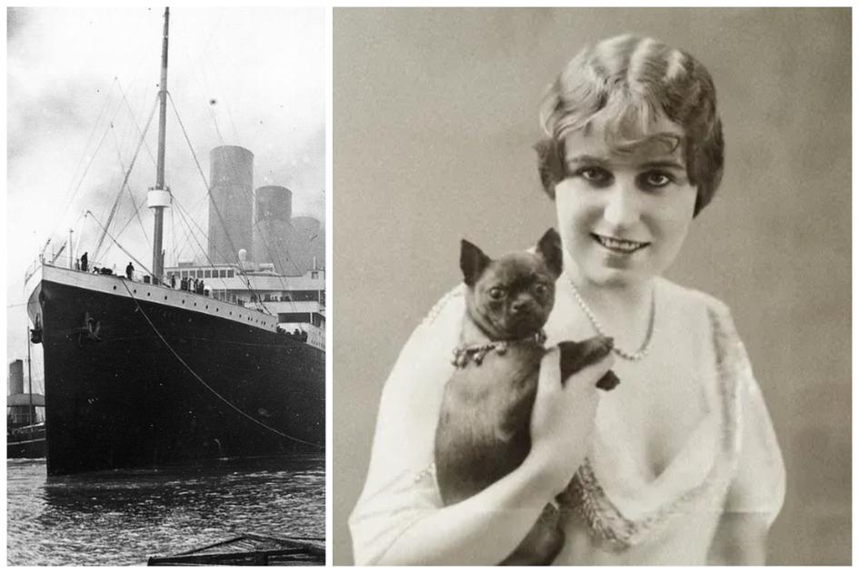 BIG CITY. Is de film Titanic geïnspireerd op het verhaal van een Brusselse passagier?