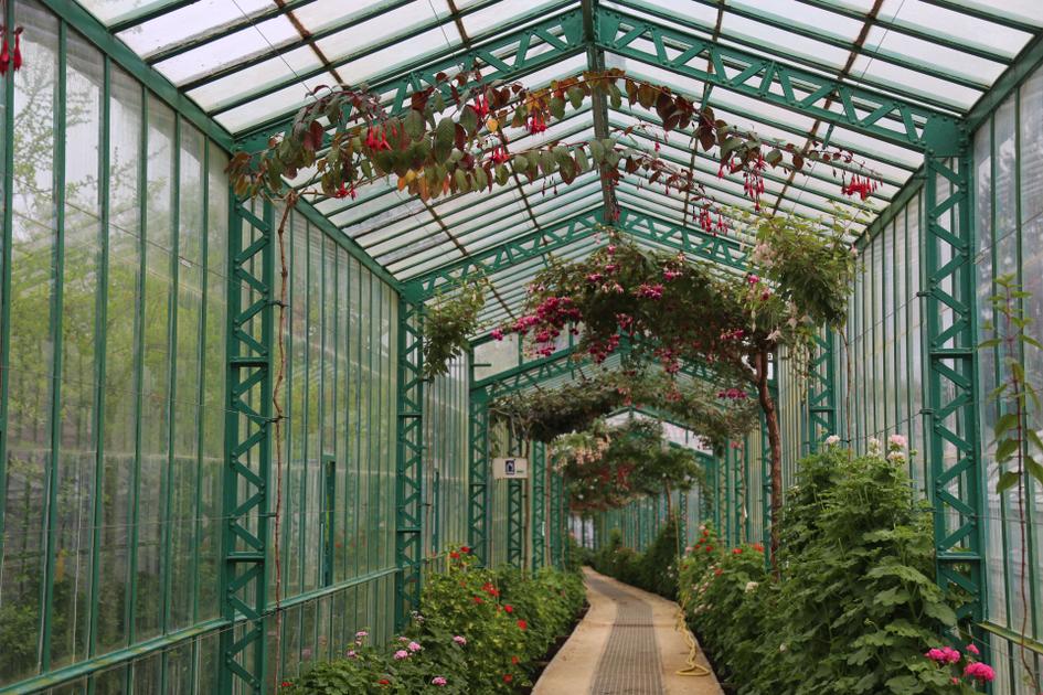 Ticket sales for a visit to the Royal Greenhouses start chaotically