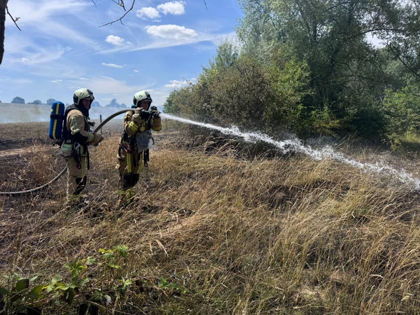 Meer dan 1 hectare weide gaat in vlammen op naast Scheutbos, brandweer voorkomt erger
